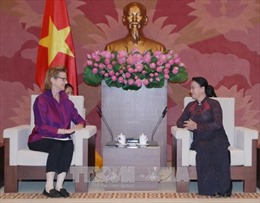 Chủ tịch Quốc hội Nguyễn Thị Kim Ngân tiếp tân Giám đốc Quốc gia UNDP tại Việt Nam 